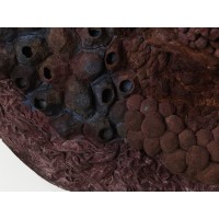 <a href=https://www.galeriegosserez.com/gosserez/artistes/l-c-lab.html> L&C Lab</a> - Biomater - Free Shape II
